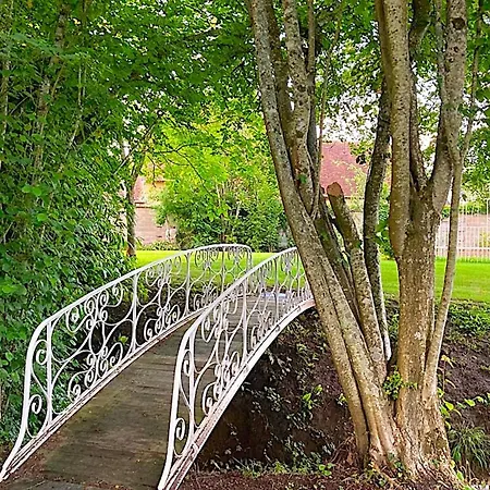 Domaine Du Ruisseau فيلة Sainte-Scolasse-sur-Sarthe